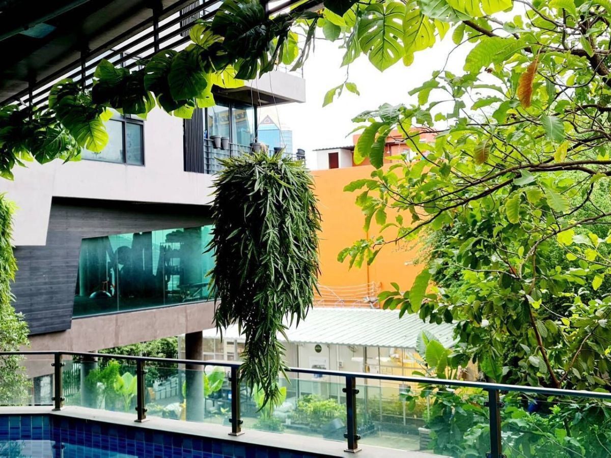 Rent V38 Hotel&nbsp;(Bangkok)